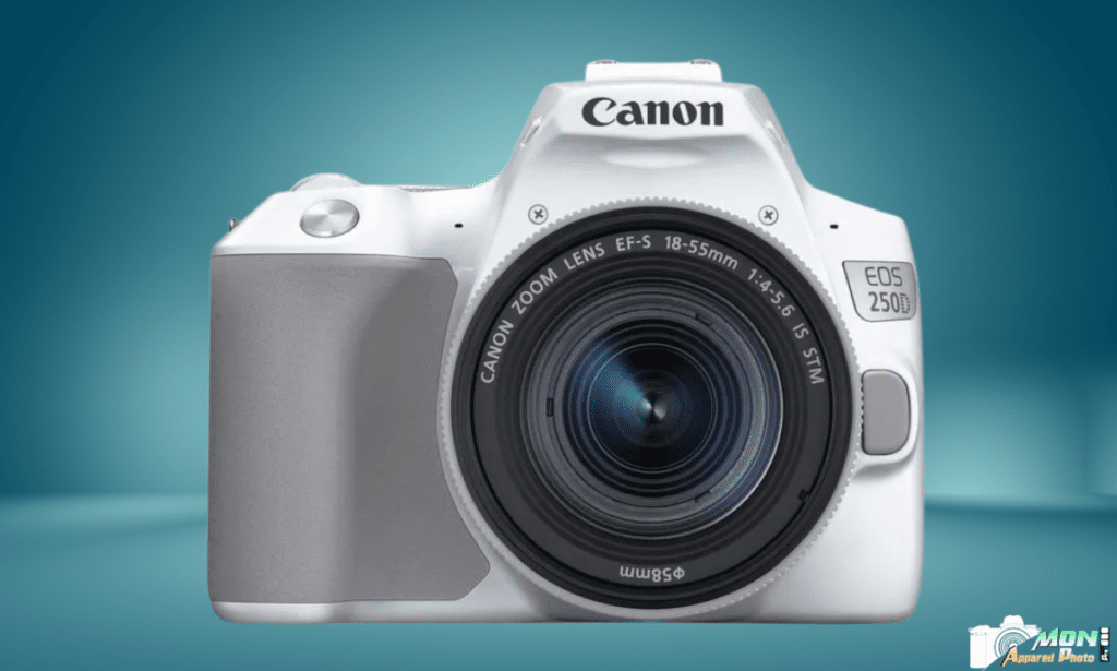 Canon 250D avis et tests