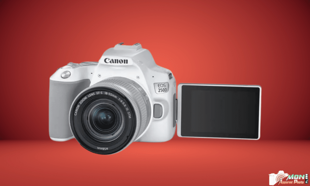 Canon 250D écran