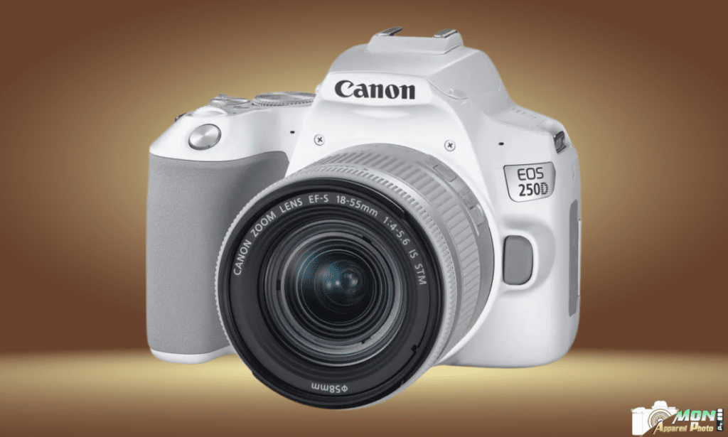 Canon 250D caractéristique