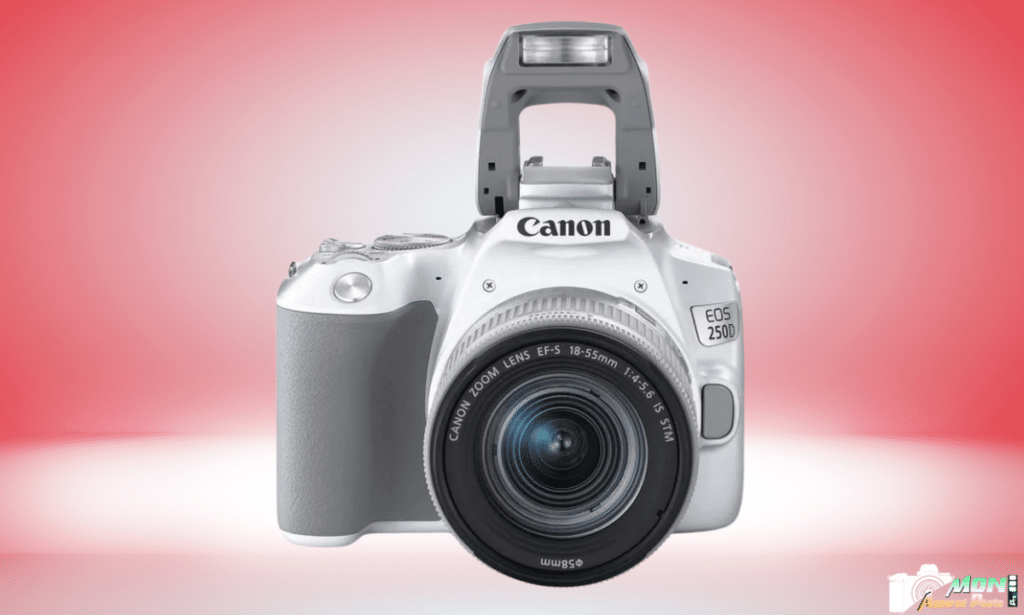 Canon 250D tests