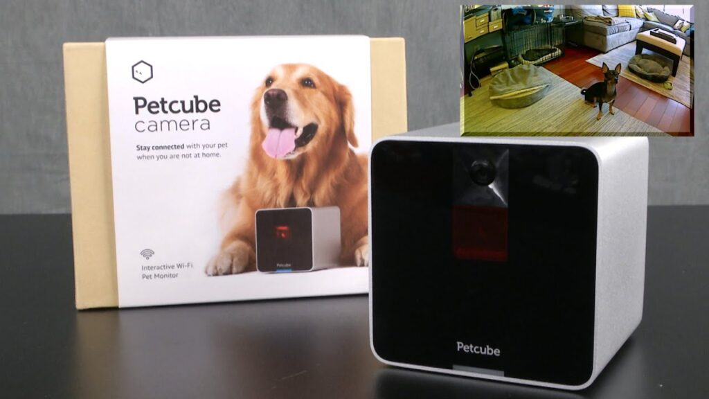 Petcube Cam test