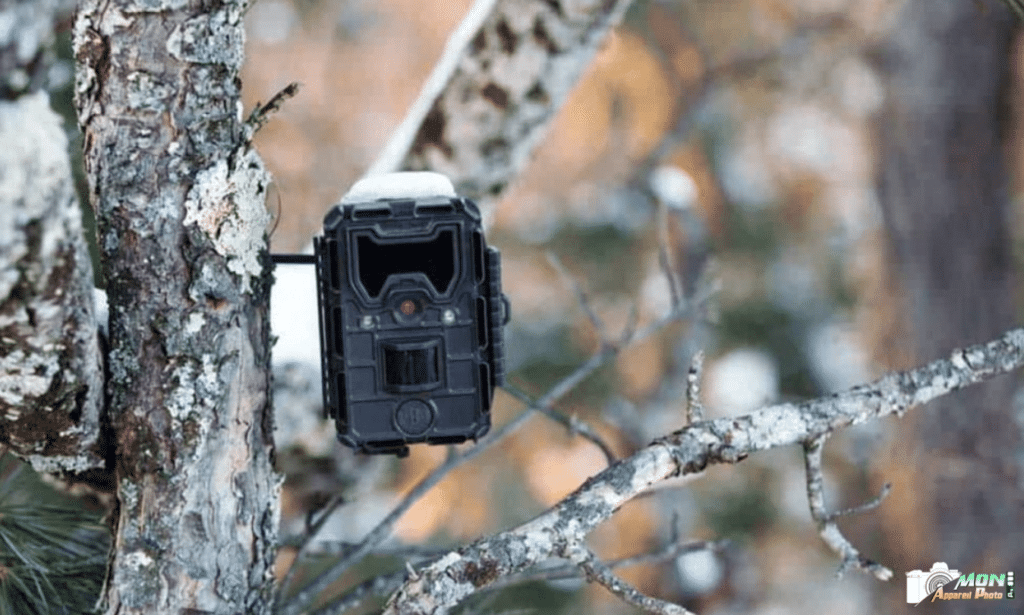 Comment Éviter les Déclenchements à Vide de Votre Piège Photographique : Guide Complet 2026 pour la Photo-Surveillance Animalière Comment ne pas déclencher le phototrap dans le vide