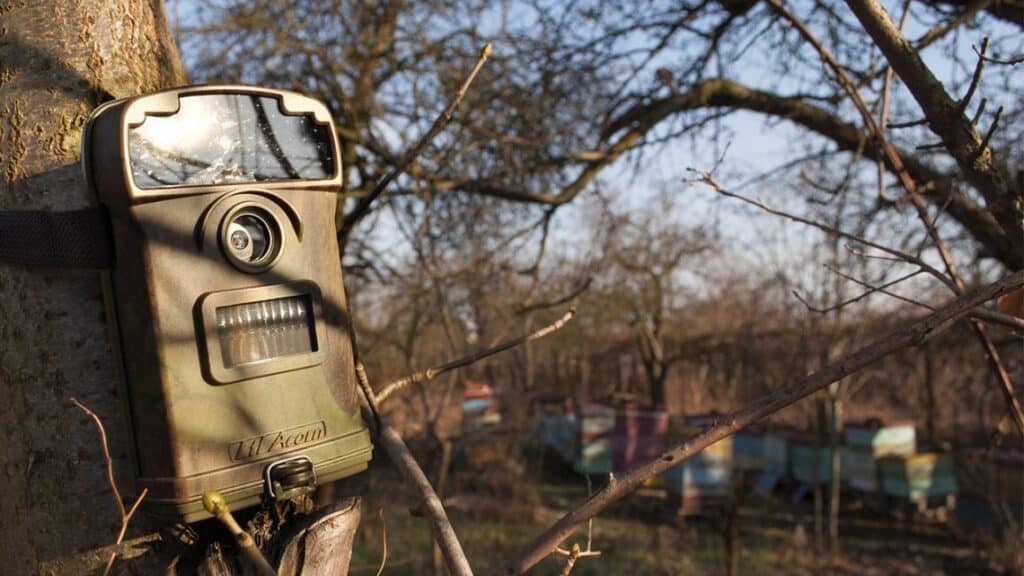 Protection Efficace des Pièges Photographiques et Caméras de Surveillance Nature : Guide Expert 2026 Comment protéger le phototrap des vols