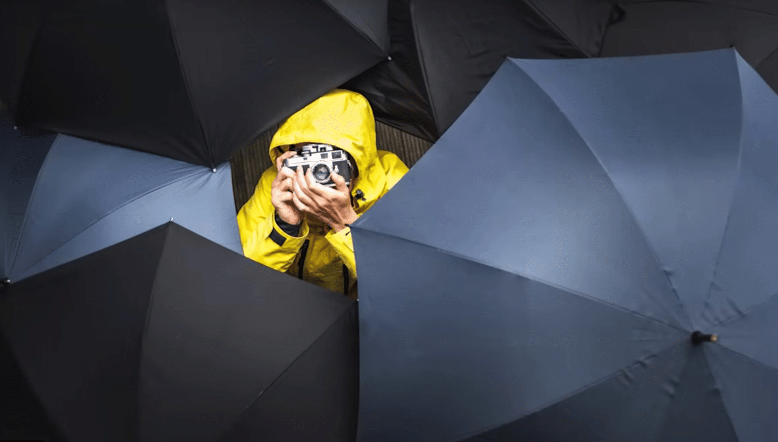 Ombrelles photographiques : voici les meilleures signées Lastolite