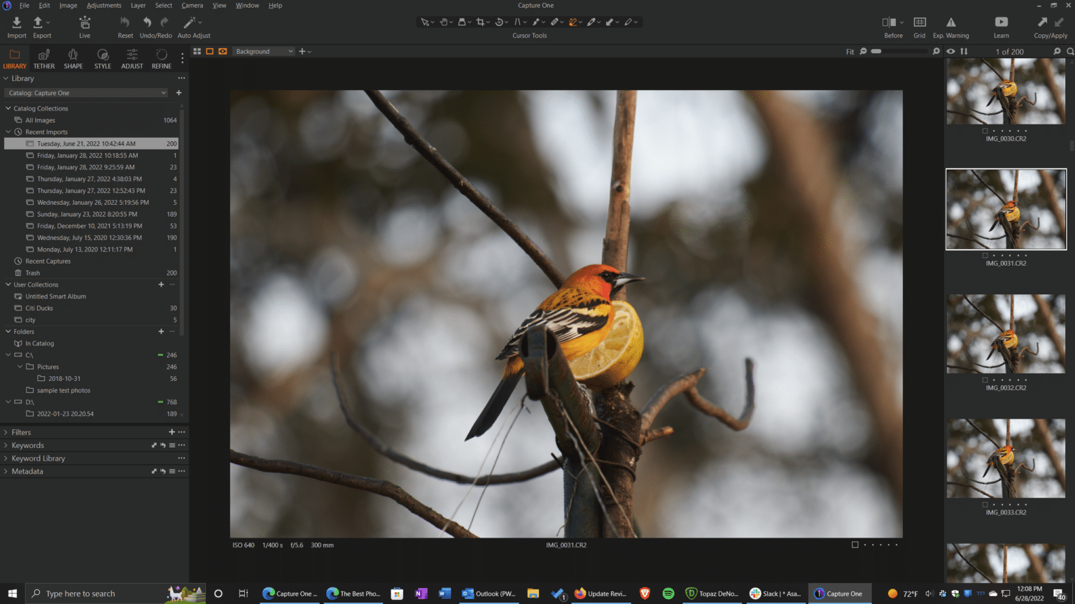 Capture One : le test définitif Capture One : le test définitif