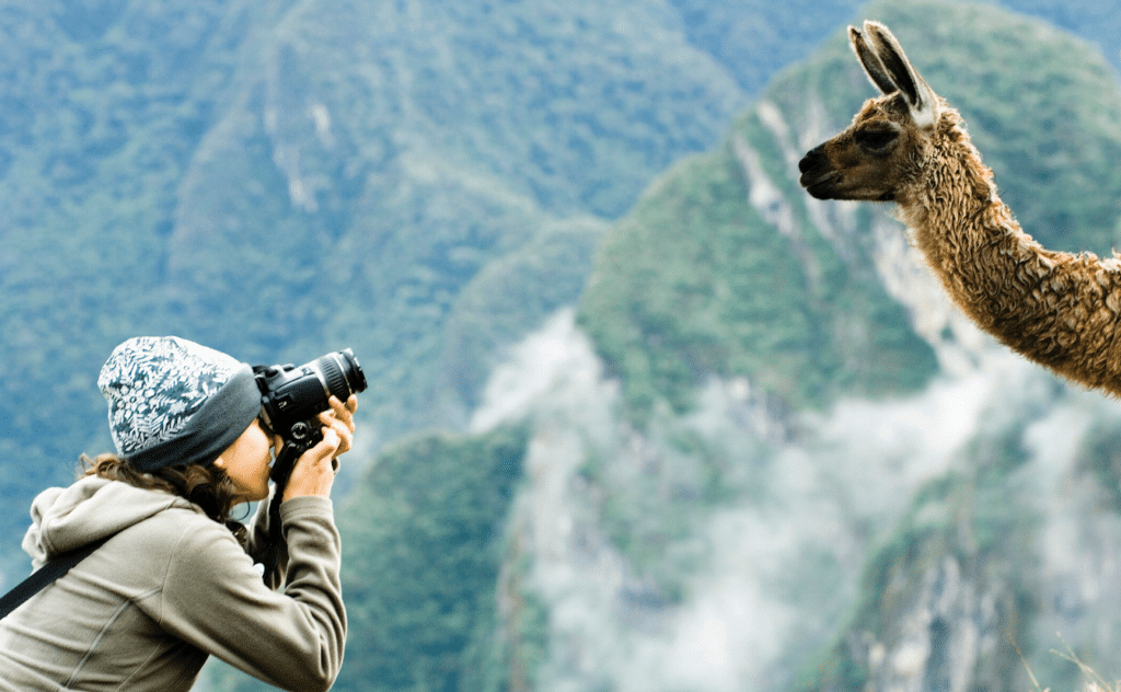 Voici comment la photographie peut sauver l'environnement