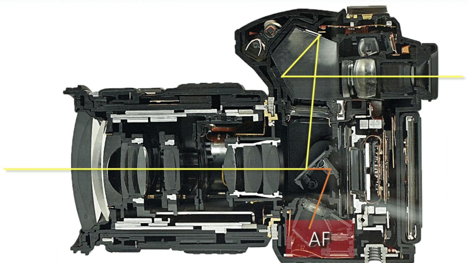 Comment fonctionne l’autofocus dans les appareils photo Comment fonctionne l'autofocus dans les appareils photo