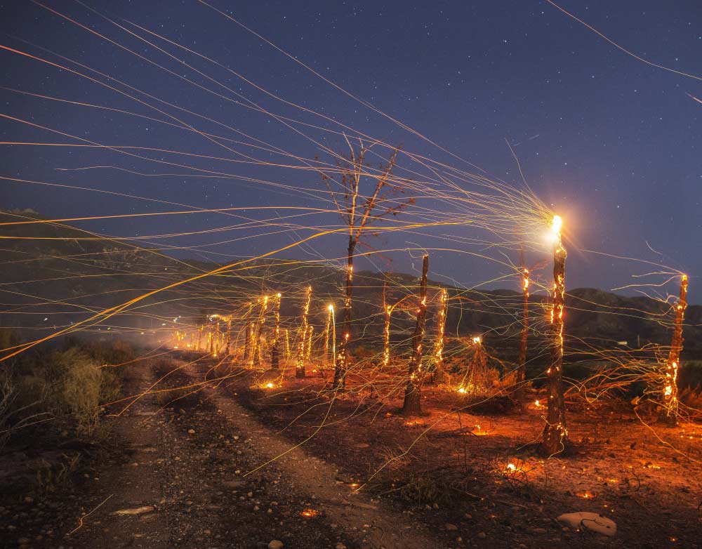 Ranch californien par Stuart Palley/EPA 