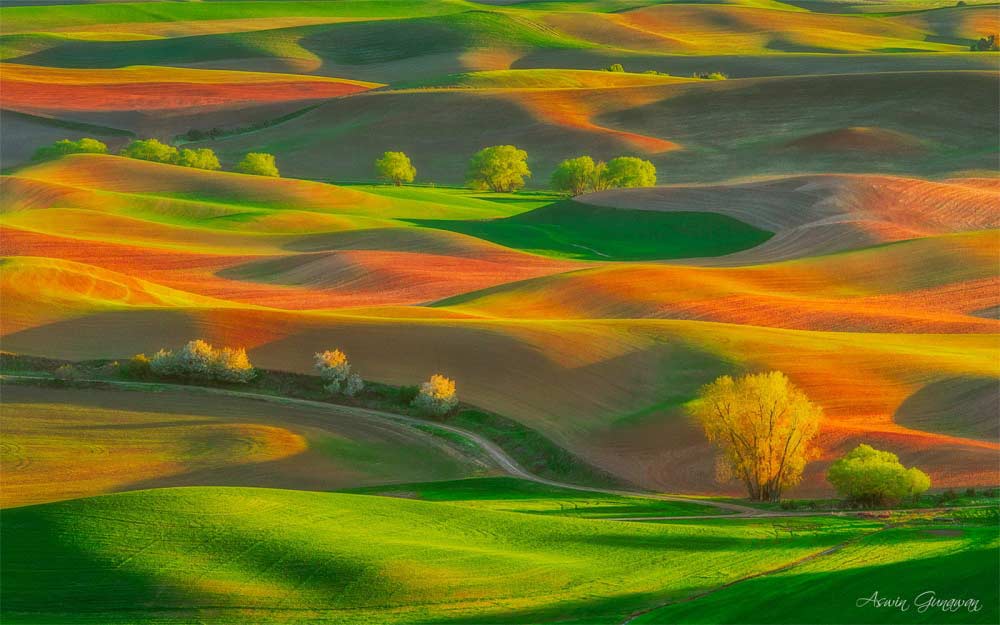Les collines de Washington par Aswin Gunawan 