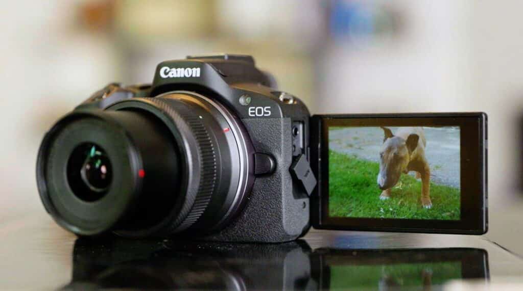 Canon R100 : le parfait sans miroir pour les débutants