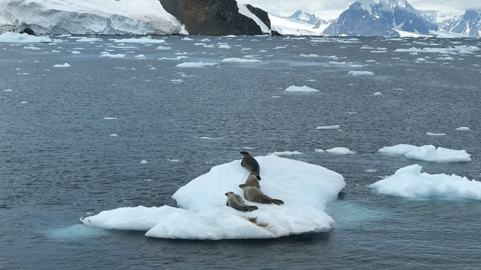 Vidéo : L'Antarctique comme vous ne l'avez jamais vu : avec un drone !