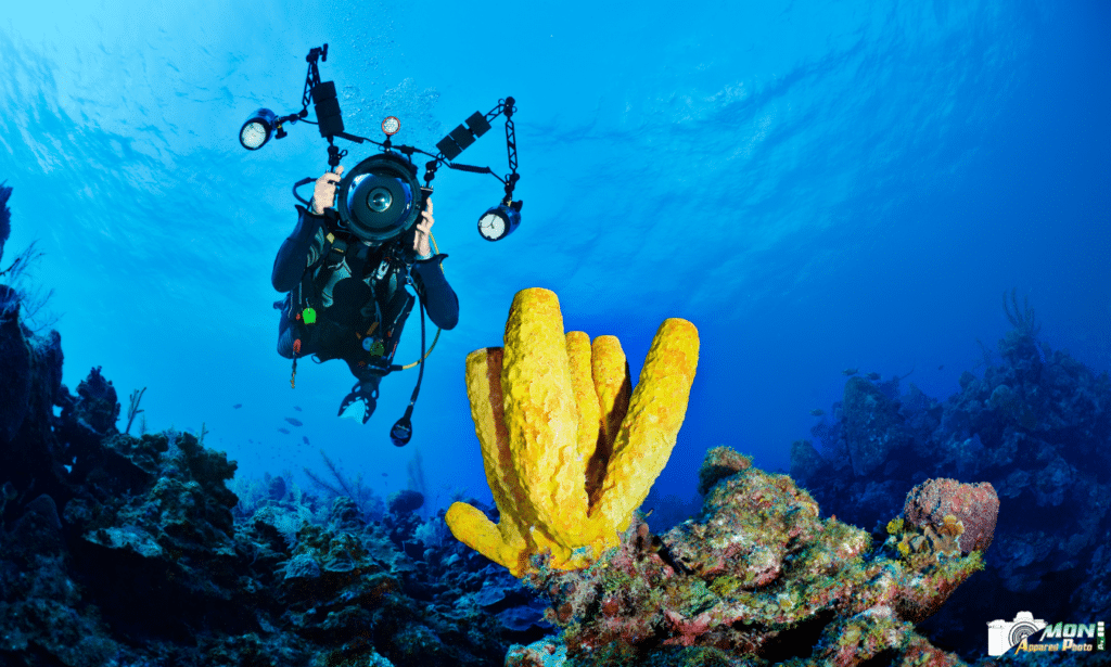 Meilleures action cams subaquatiques