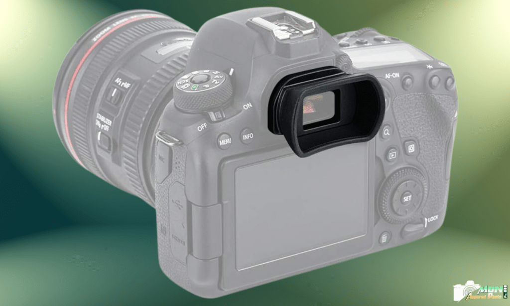 10 Meilleurs Œilletons