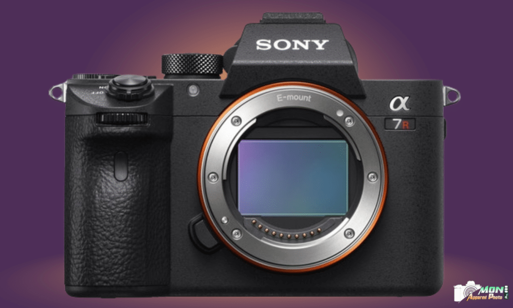 Sony Alpha 7R IIIa: avis