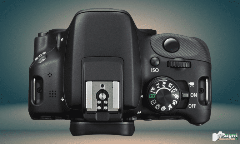 Le Canon EOS 100D : Un Petit Reflex qui Dévoile de Grandes Performances