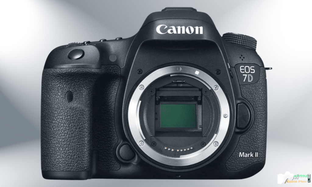 Canon EOS 7D Mark II : Performances, Avis et Comparaison avec les Meilleurs Reflex Canon EOS 7D Mark II: avis