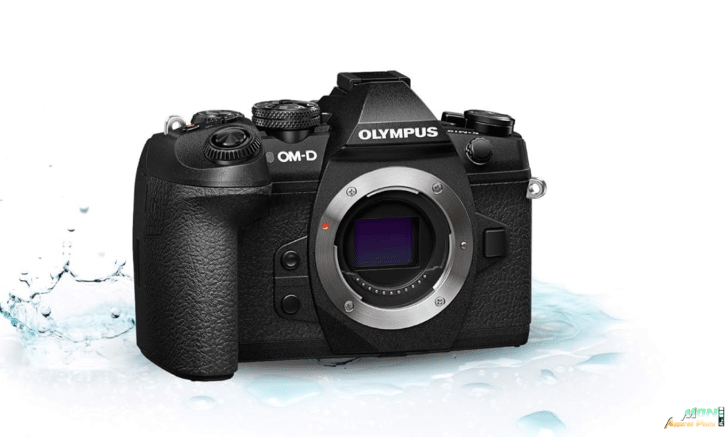 Olympus OM-D E-M1 Mark II: test