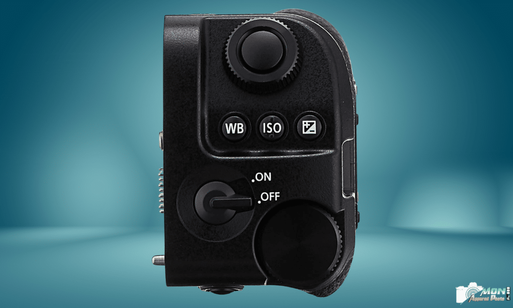 Poignée Grip DMW-BGS5E: test