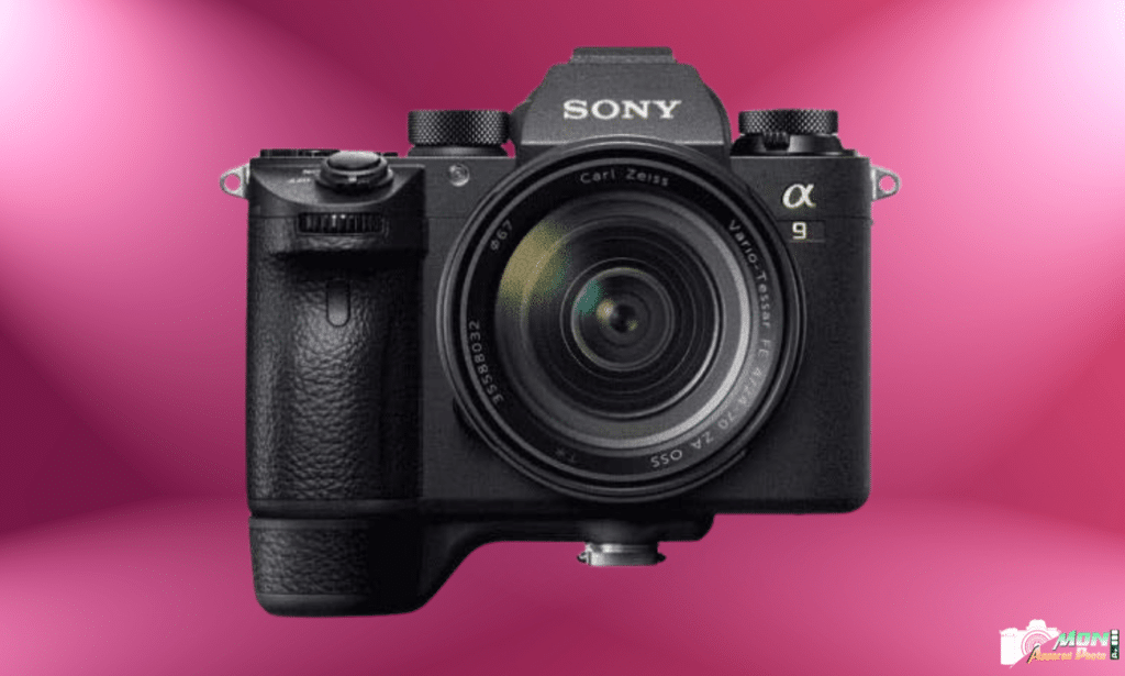 Poignée Sony GP-X1EM: avis
