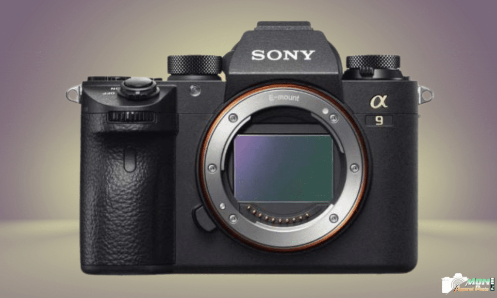 Sony Alpha A9 II : Performances Époustouflantes et Qualité d’Image Inégalée Sony Alpha A9 II avis
