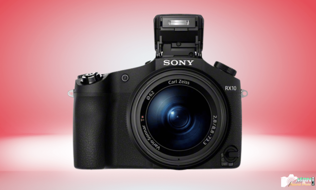 Sony Cyber-shot RX10: avis