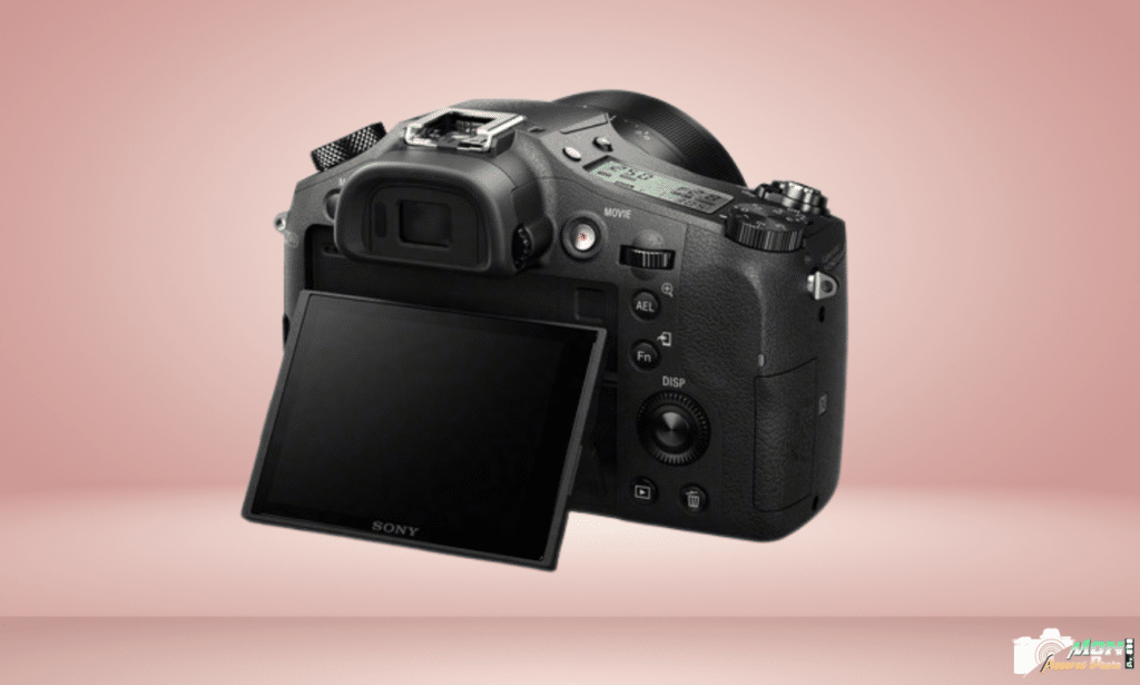 Sony Cyber-shot RX10: écran