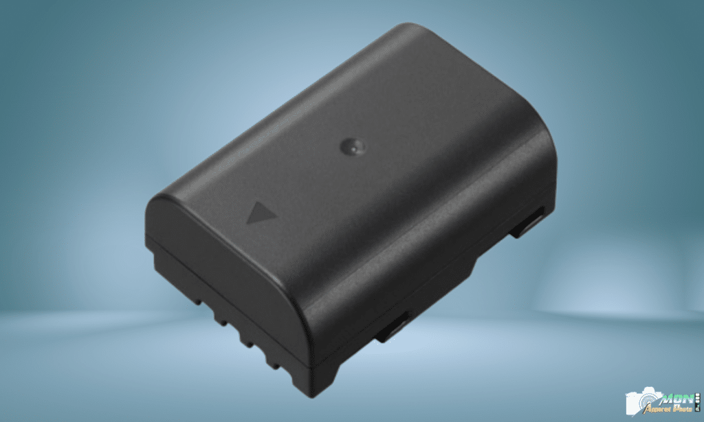 Boostez votre Autonomie avec la Batterie Panasonic DMW-BLF19E pour Lumix GH3 / GH4 / GH5 / G9 / GH5S Batterie Panasonic DMW-BLF19E avis