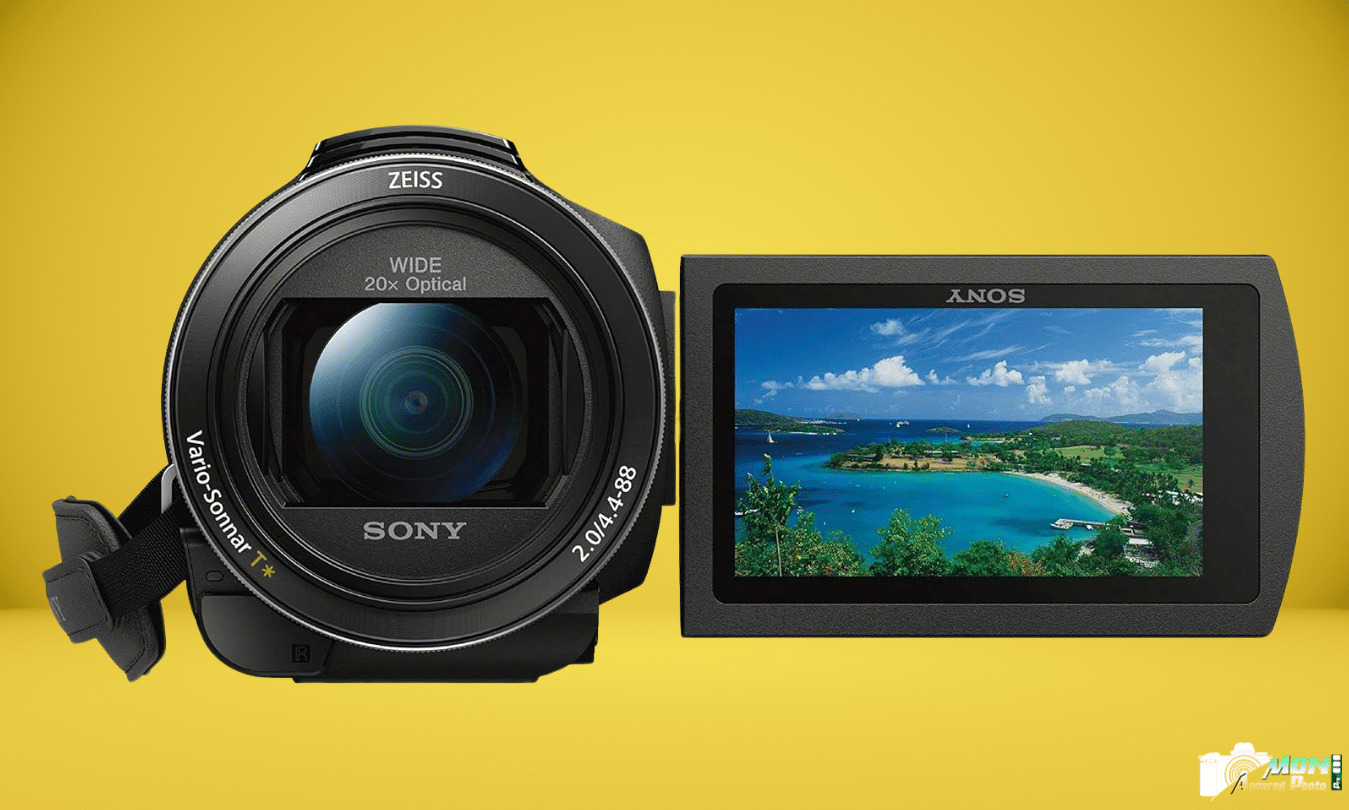 CELLONIC, Batterie pour Caméra, Compatible avec Sony AX53 4K
