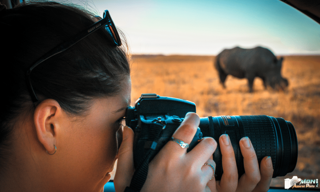 Meilleurs équipements outdoor pour la photographie animalière