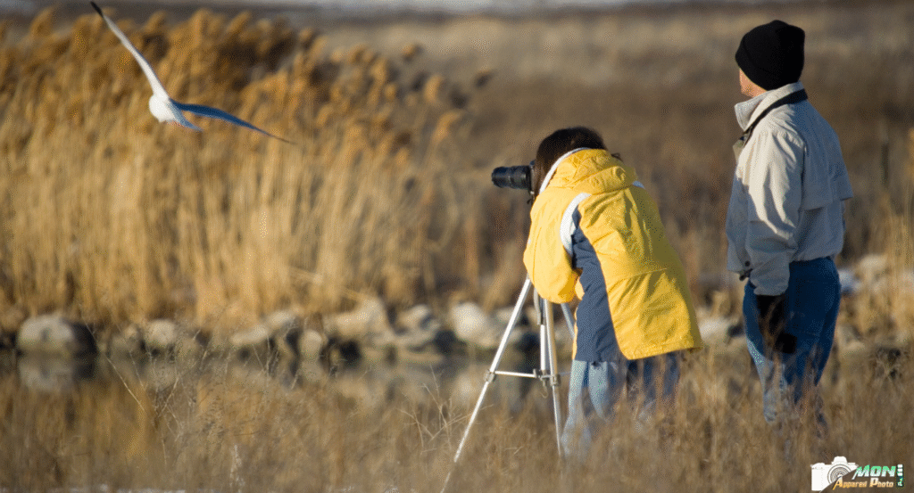 trépieds pour longue-vue ornithologie